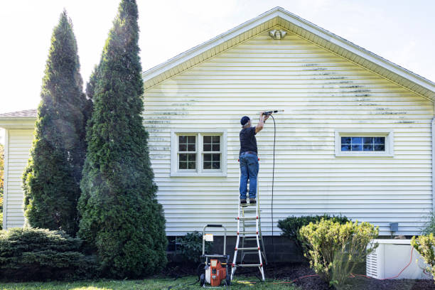 Best Solar Panel Cleaning  in Victoria, TX